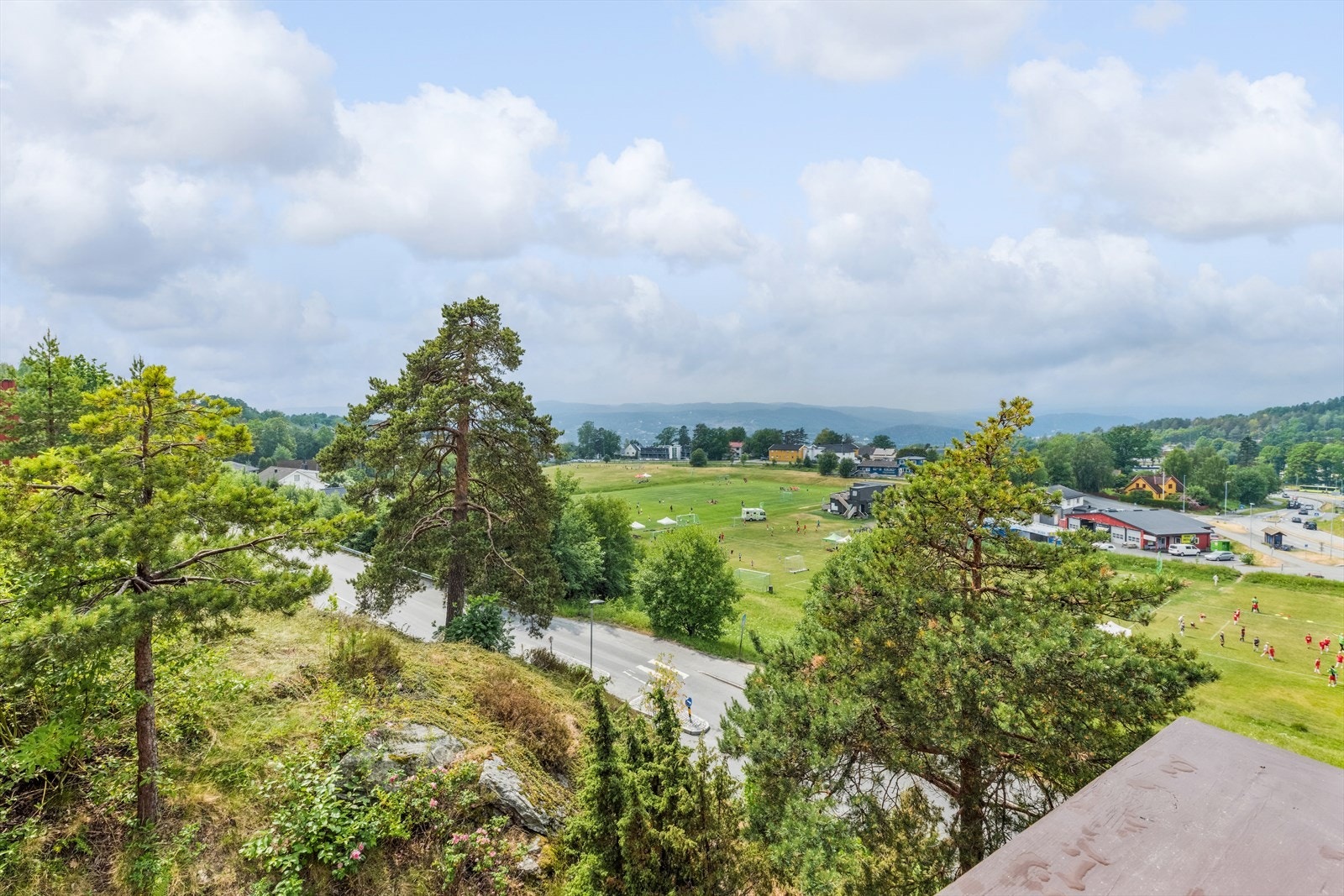 Nærområdet. Galleribilde