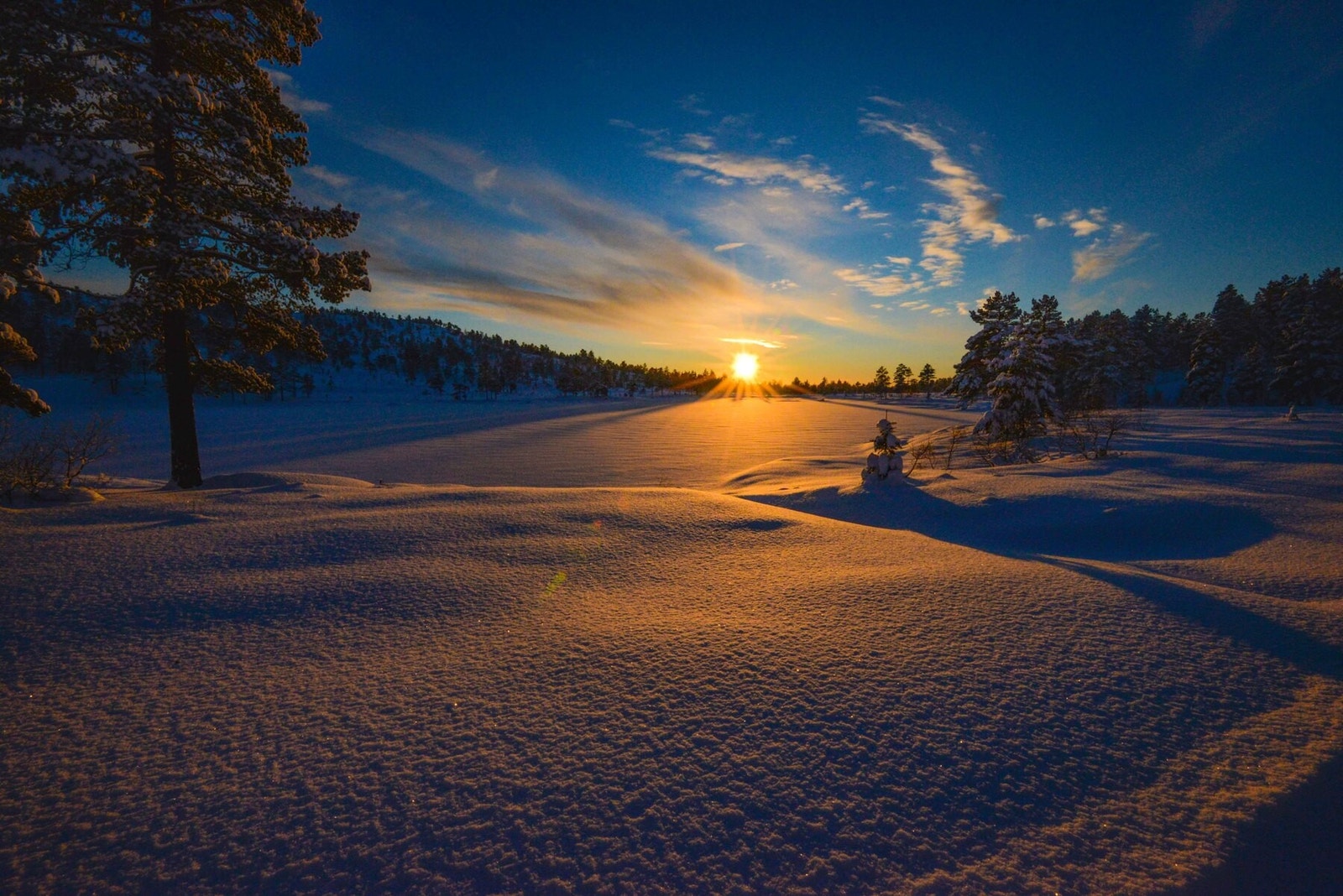 Fra tomteområdet Galleribilde