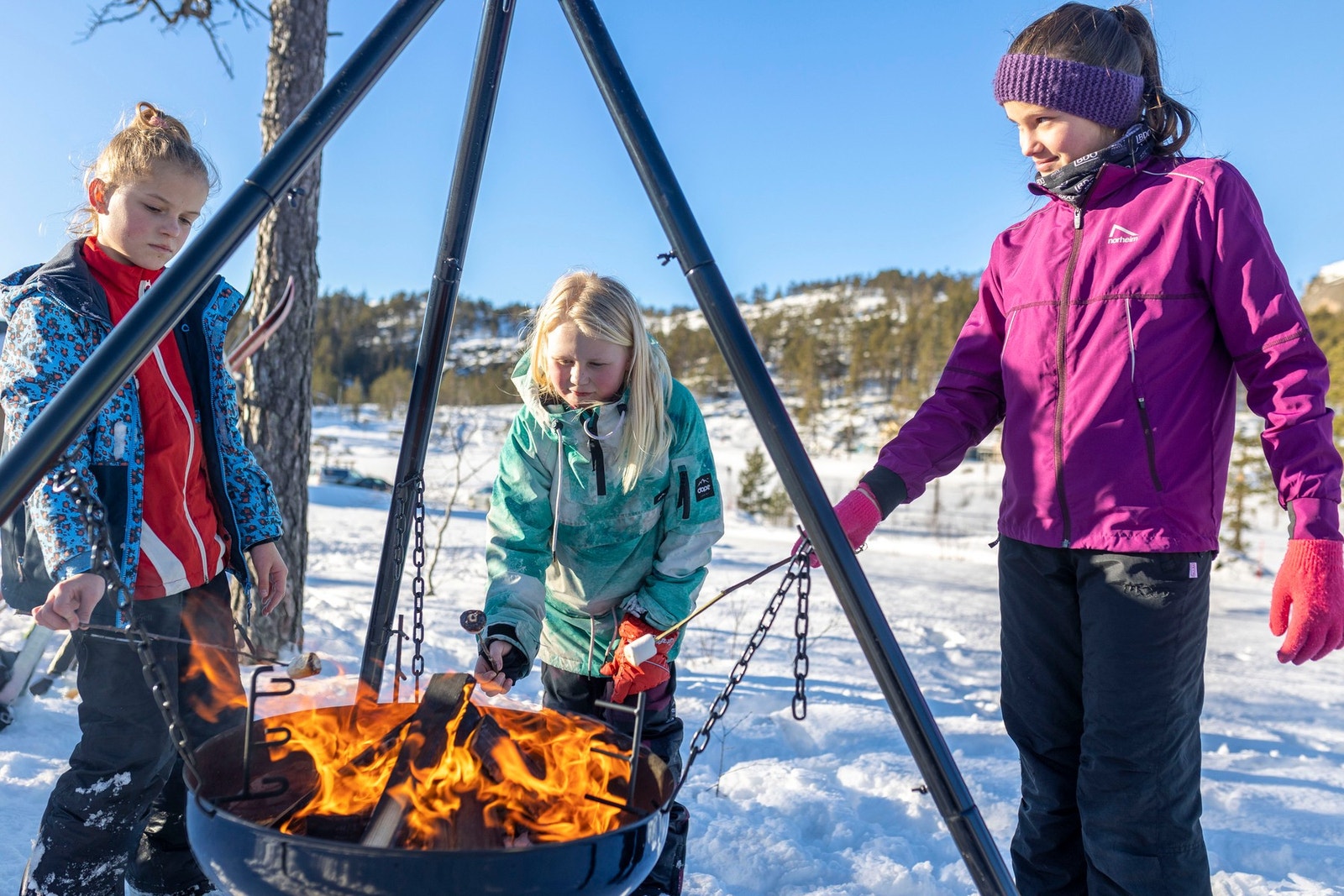 Koselig hytteområde for både store og små Galleribilde