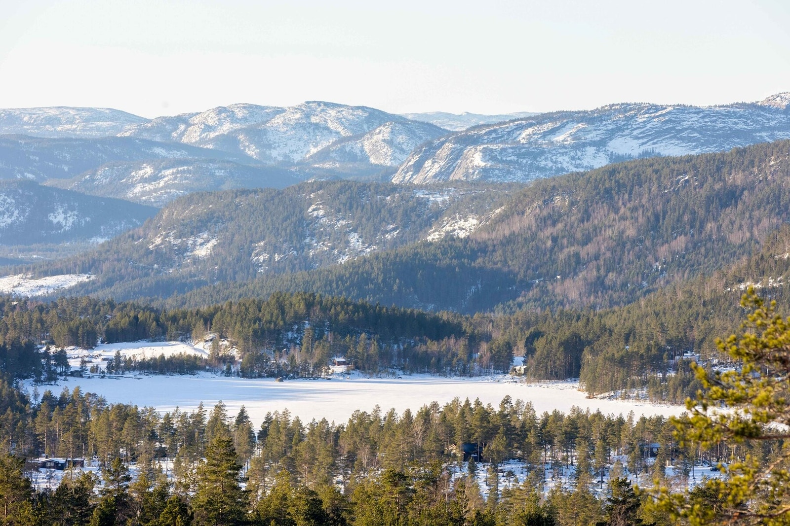Fra tomteområdet Galleribilde