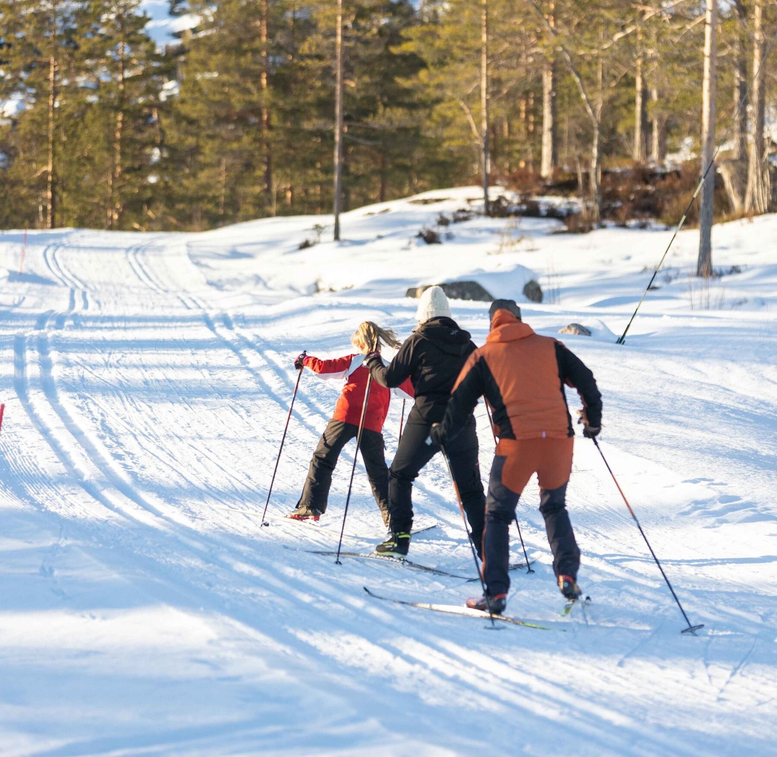 Det går skiløyper gjennom tomtefeltet Galleribilde