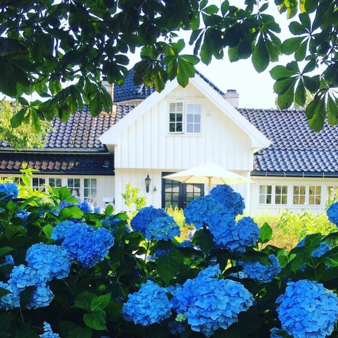 Stemningsbilde tatt av selger. Galleribilde