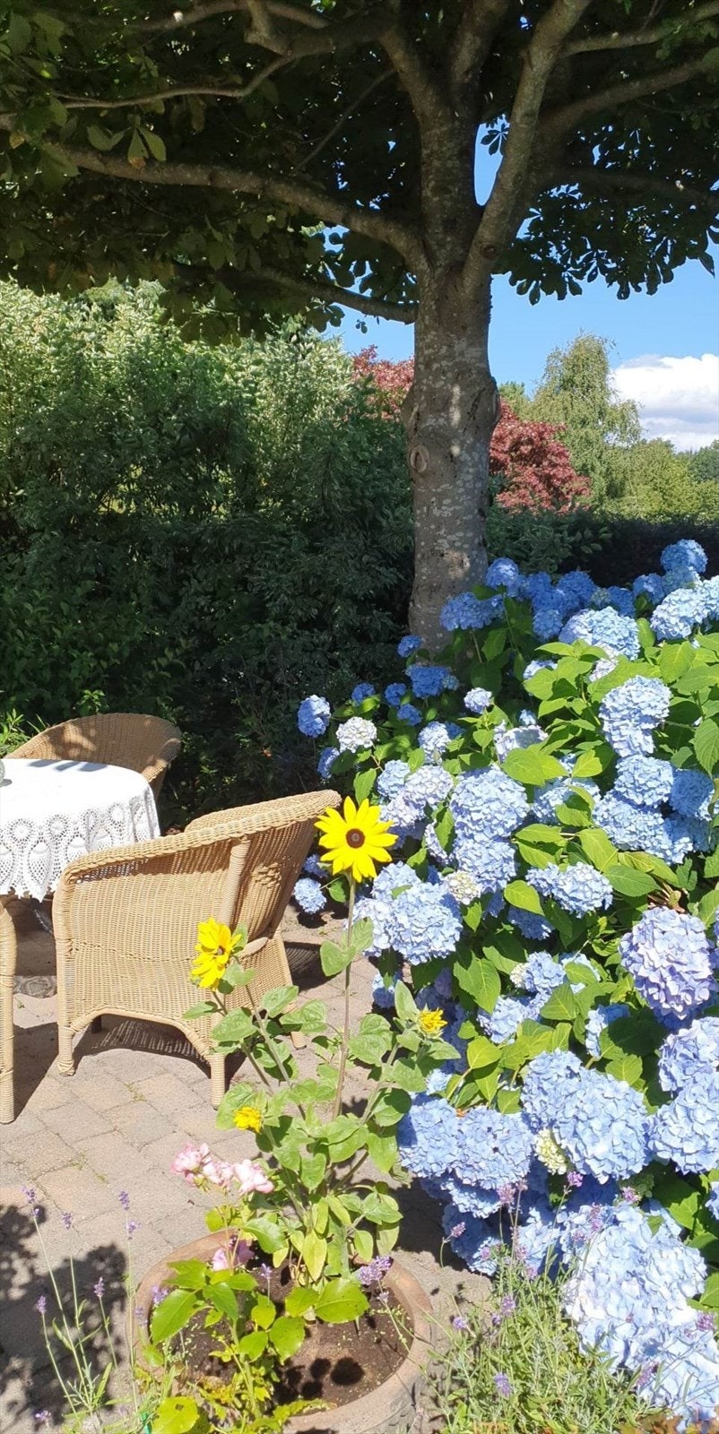 Stemningsbilde tatt av selger. Galleribilde