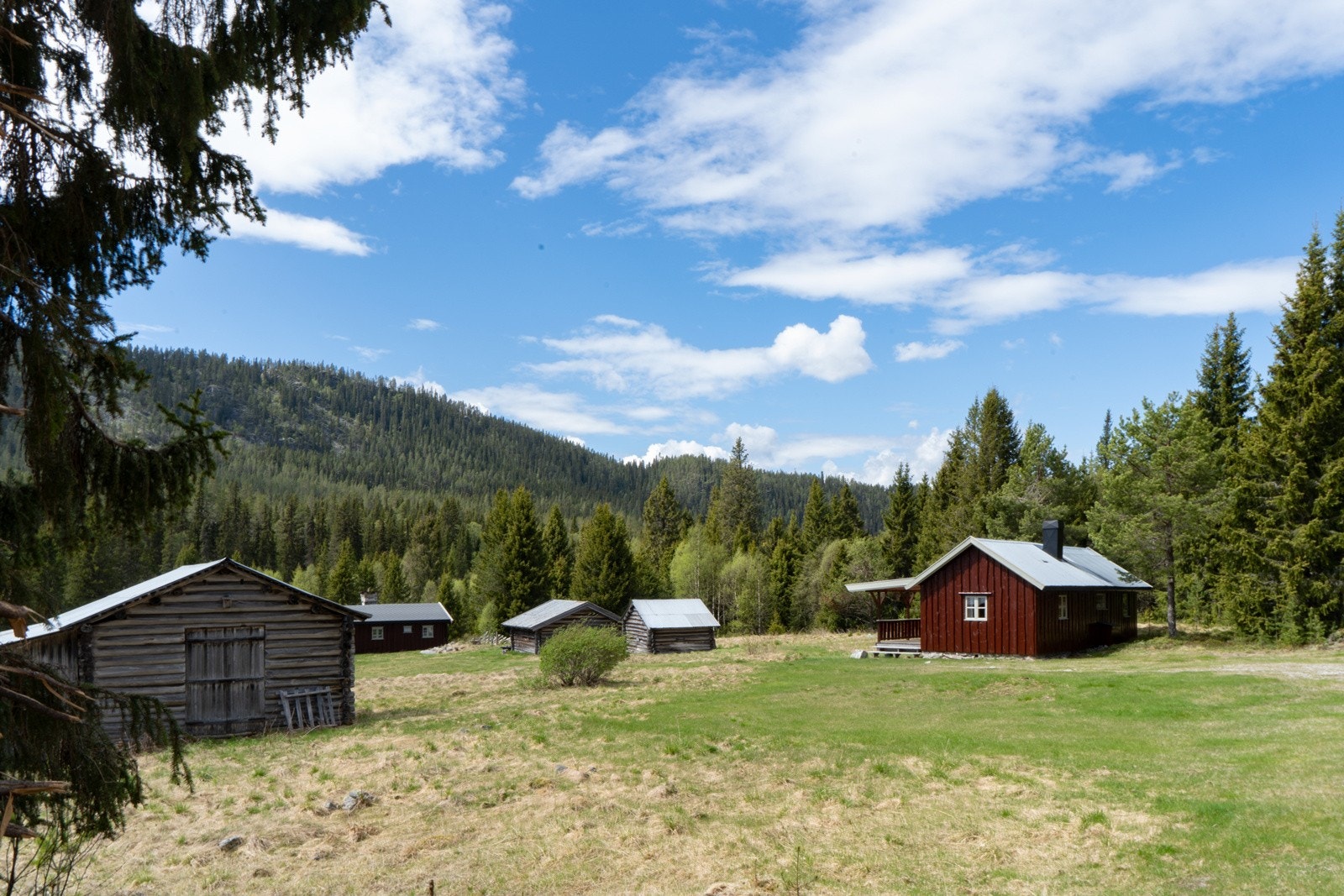 Setertunet Galleribilde