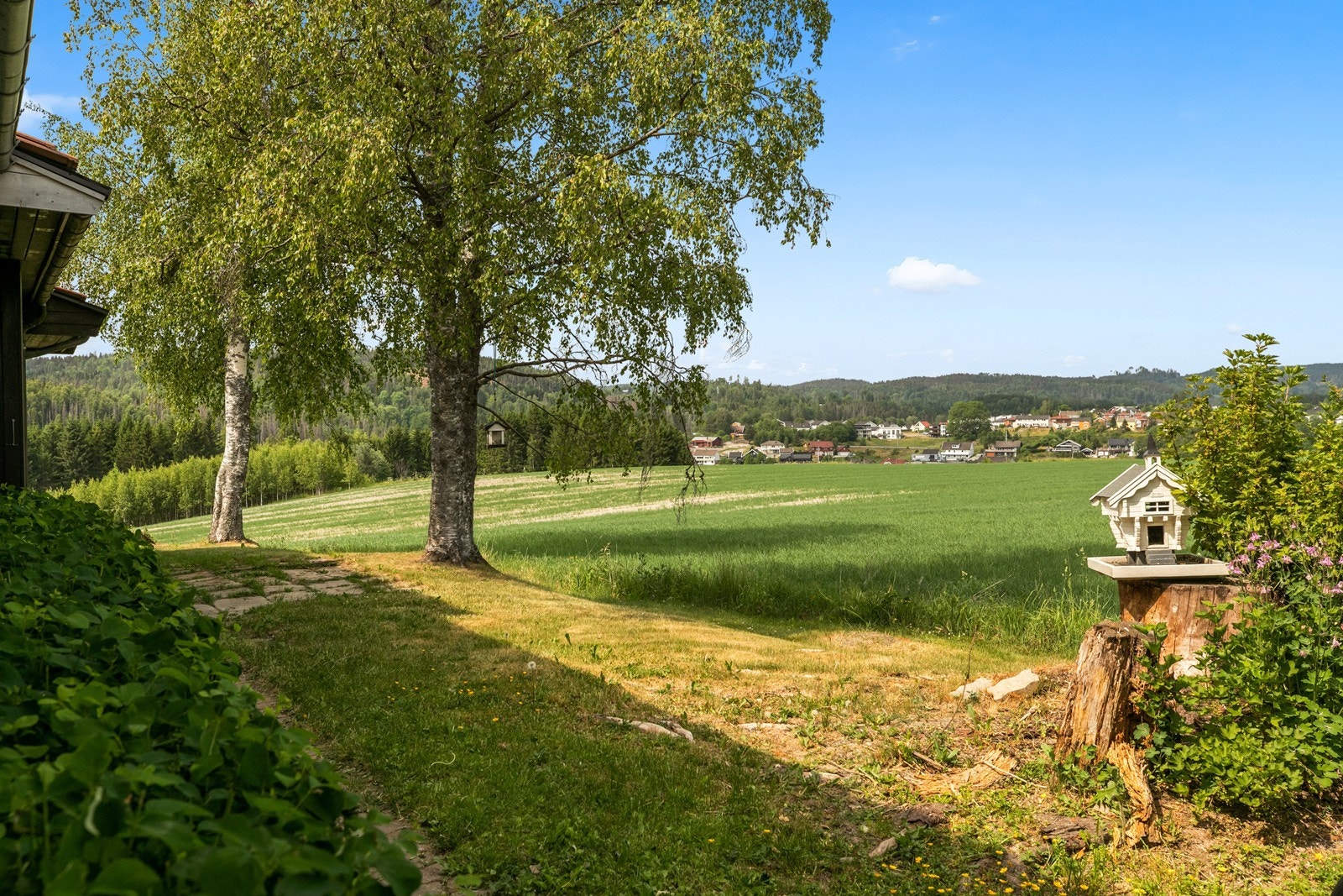Flott utsikt ! Galleribilde