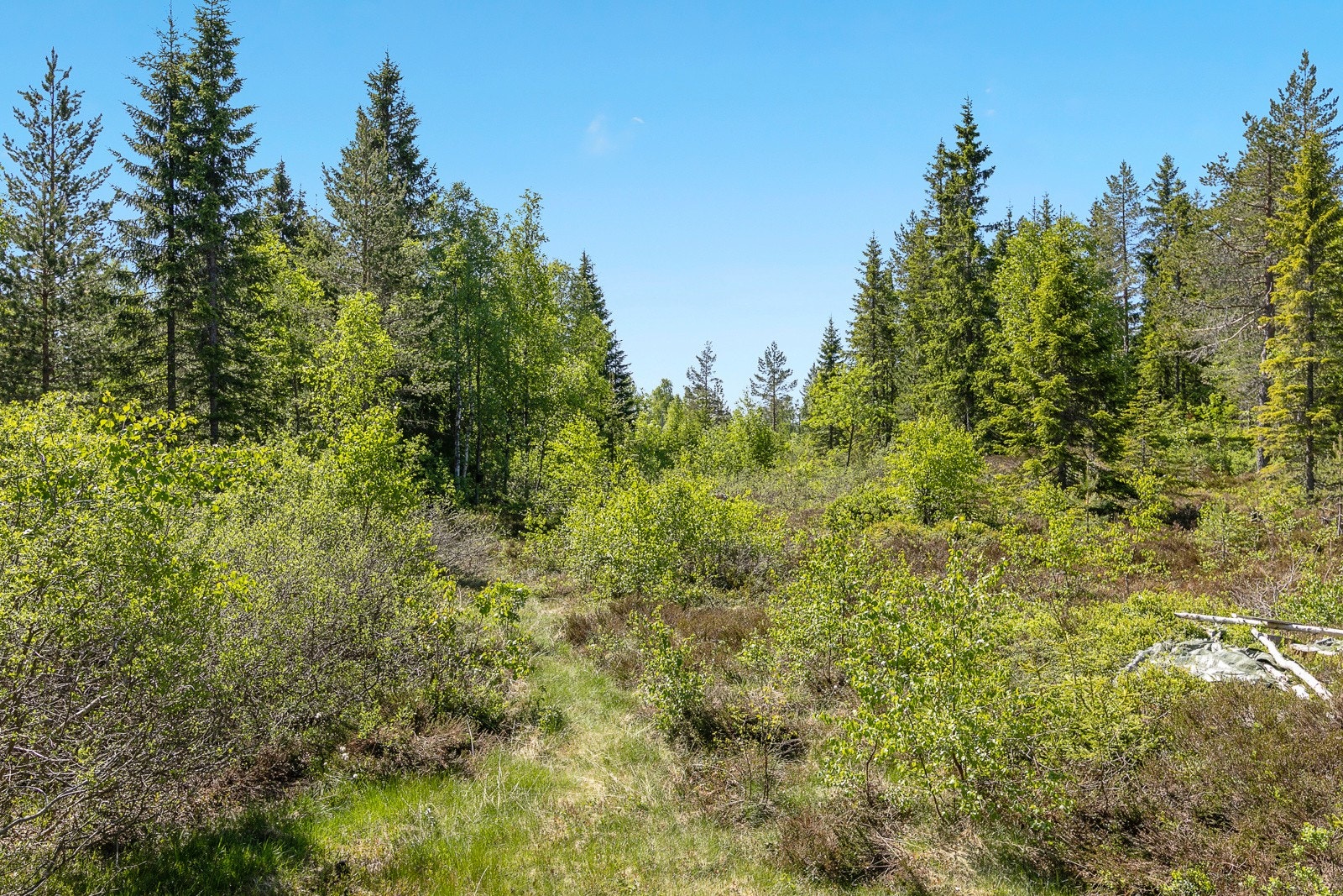 Her ferierer du med masse urørt natur rundt deg. Galleribilde