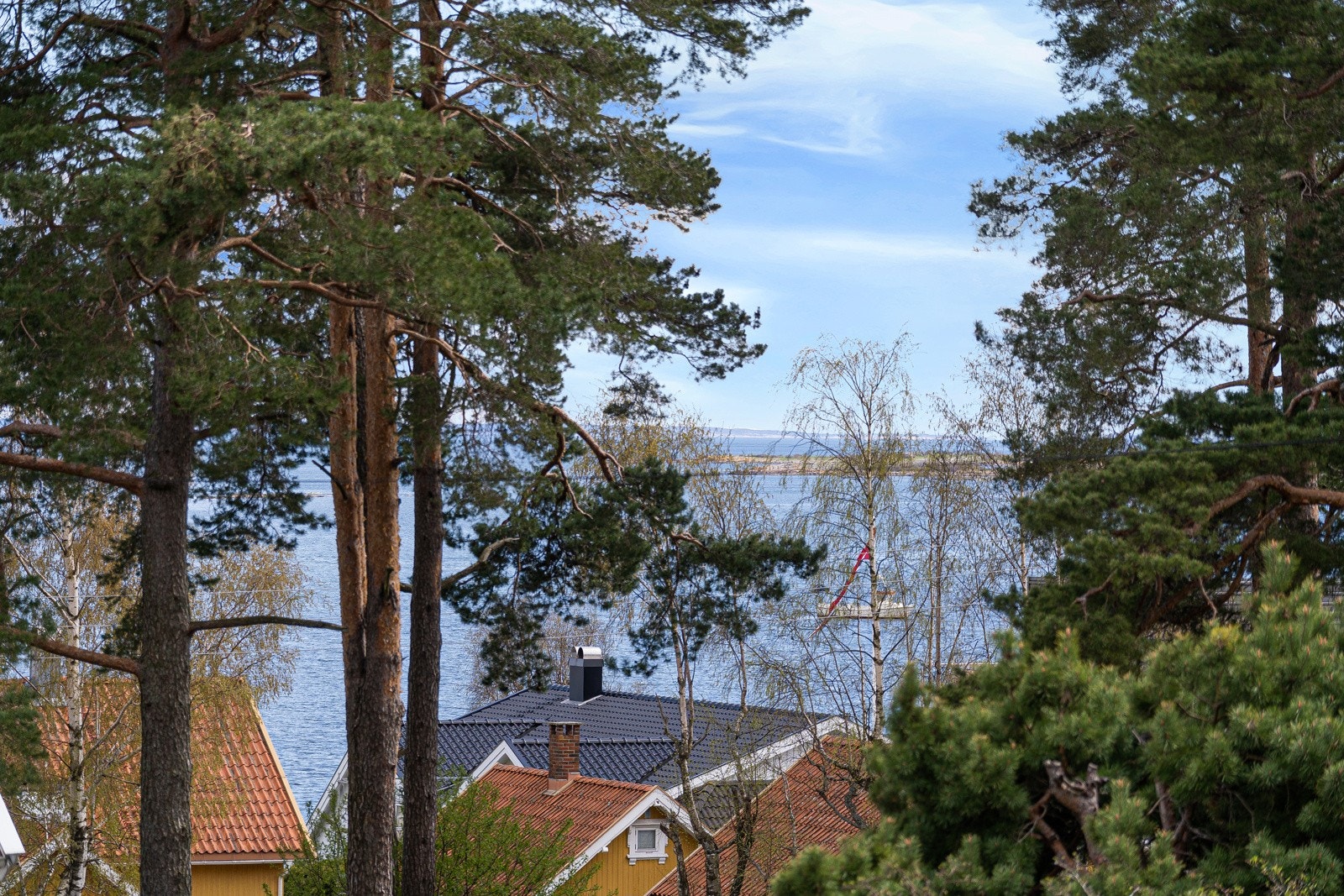 Utsikt Galleribilde