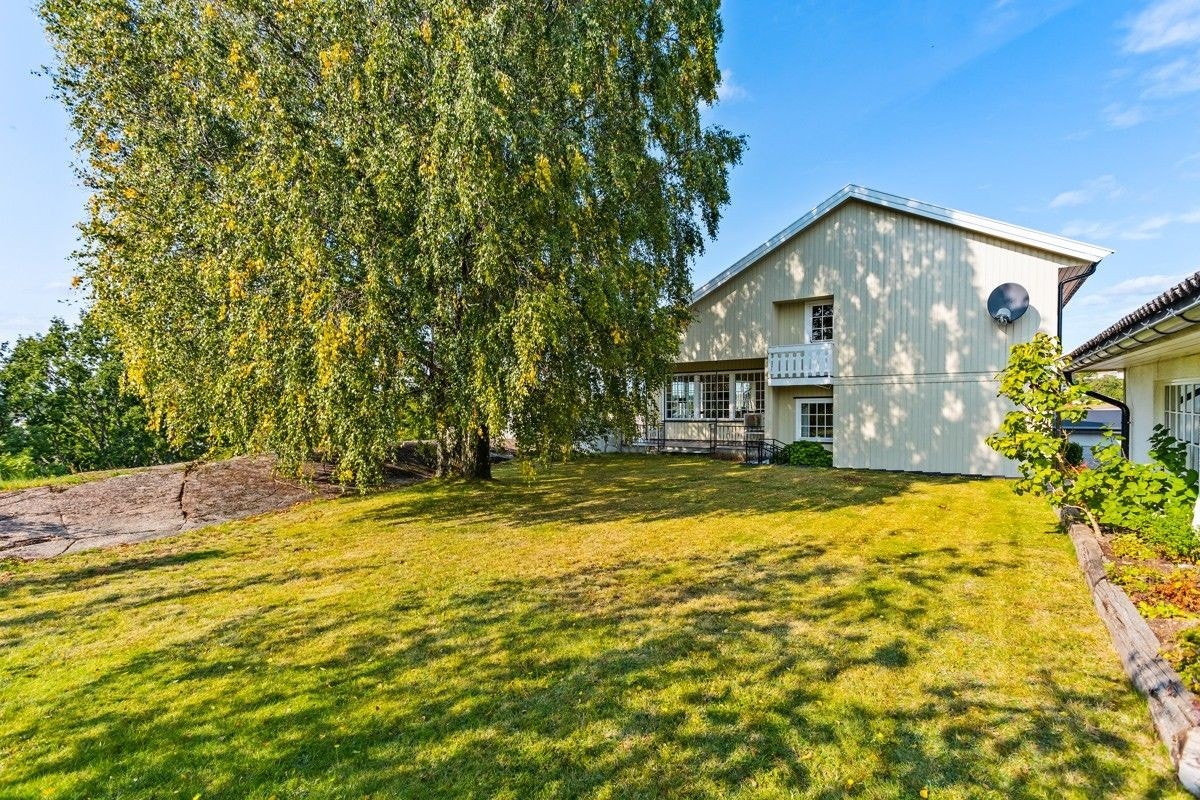 Koselig hage med plen Galleribilde