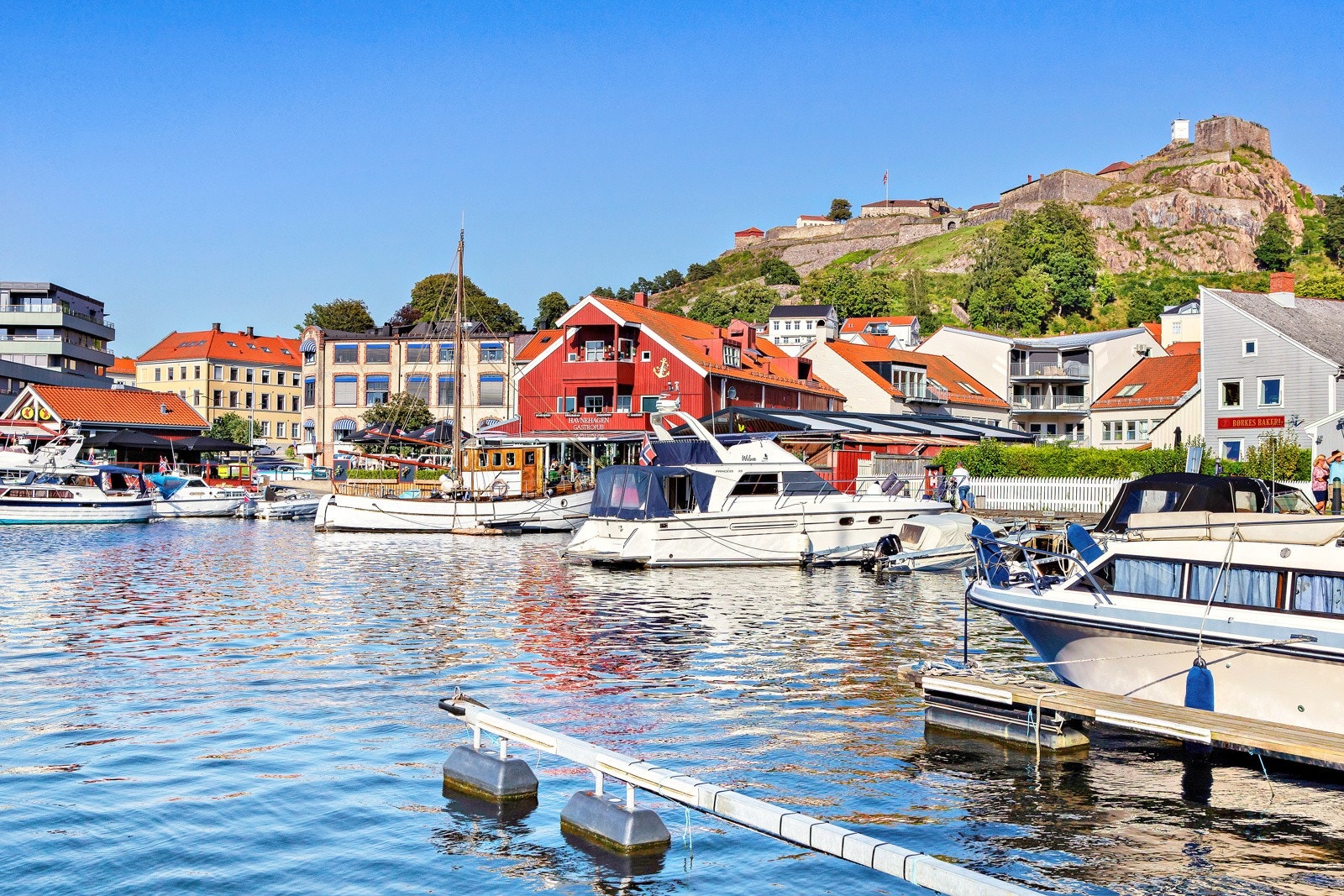 Nærområdet. Galleribilde