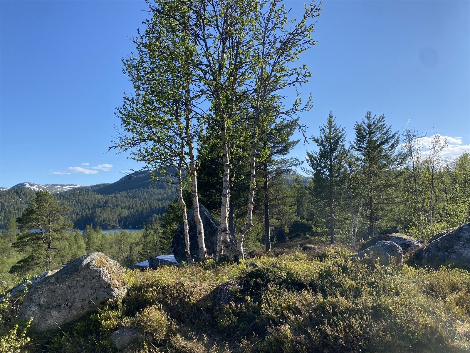 Område Galleribilde