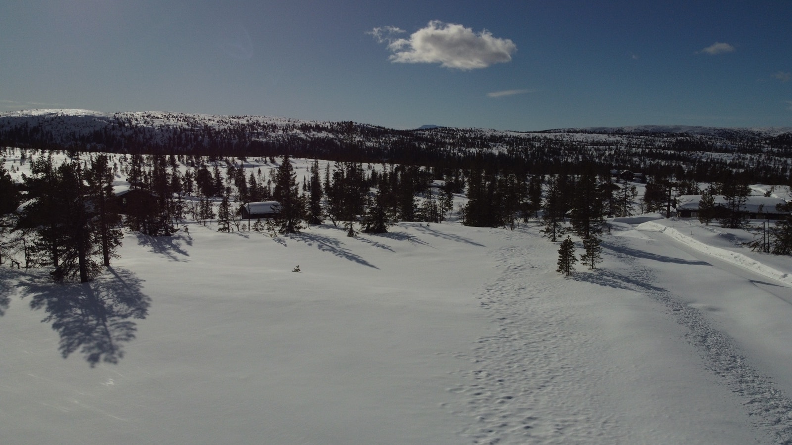 Dronebilde av tomt 81 Galleribilde
