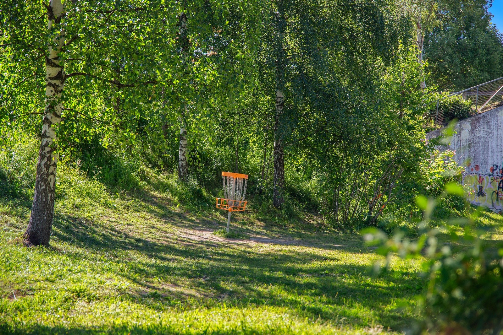 Frisbeegolfbane fins også på Risvollan Galleribilde