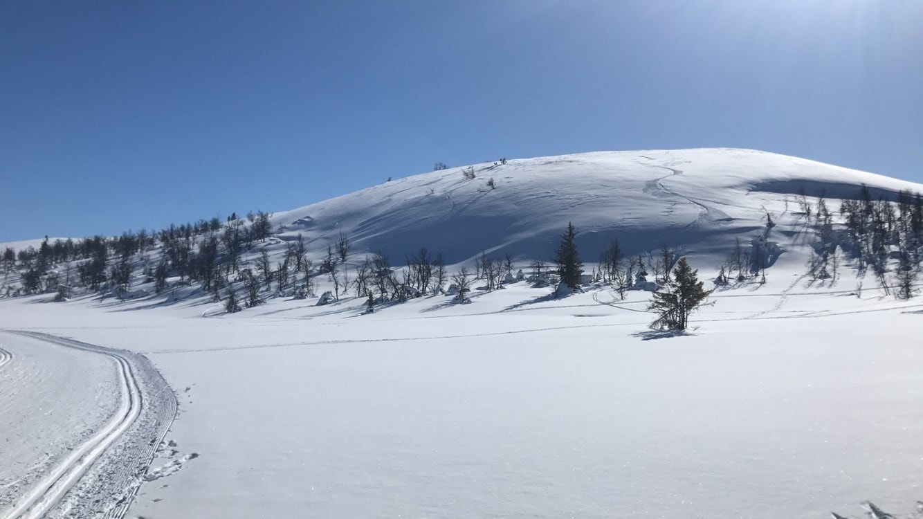 Skiløyper Båtstjern Galleribilde