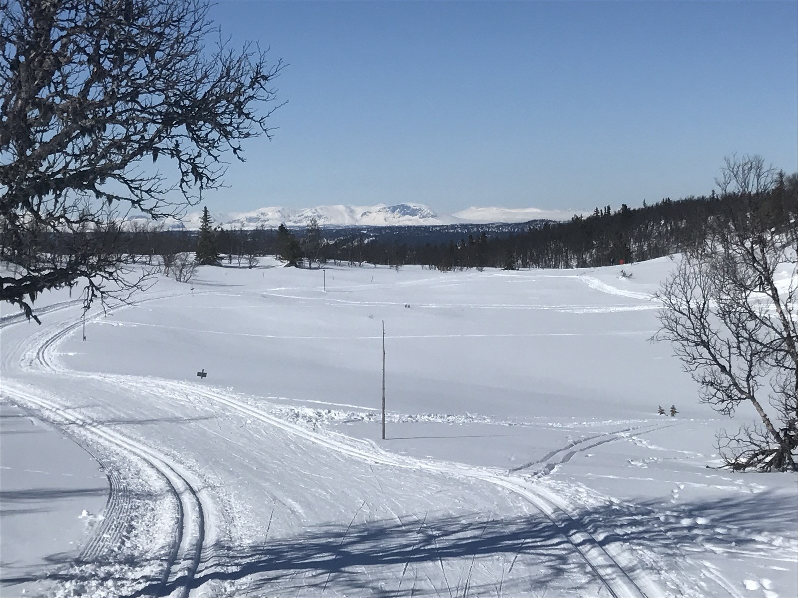Skiløyper Båtstjern Galleribilde