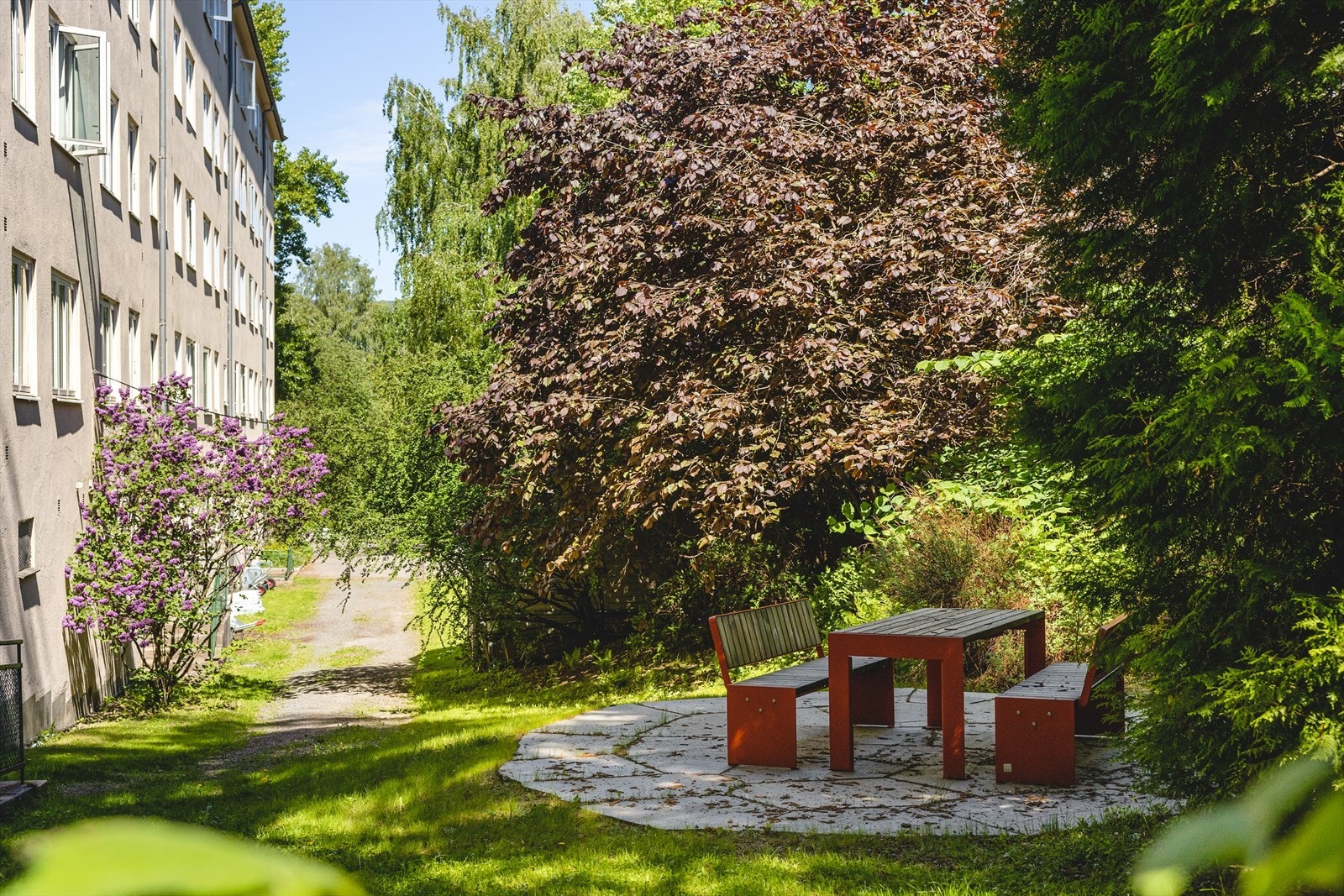 Hyggelig fellesarealer med beplantning og sittegrupper Galleribilde