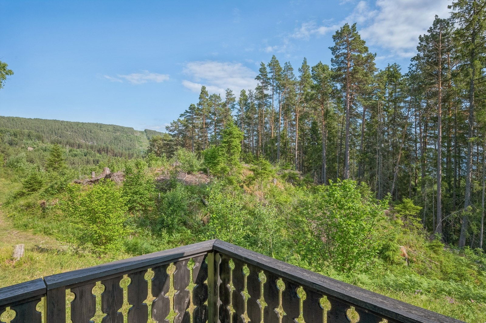 Eiendommen ligger i naturskjønne omgivelser. Galleribilde