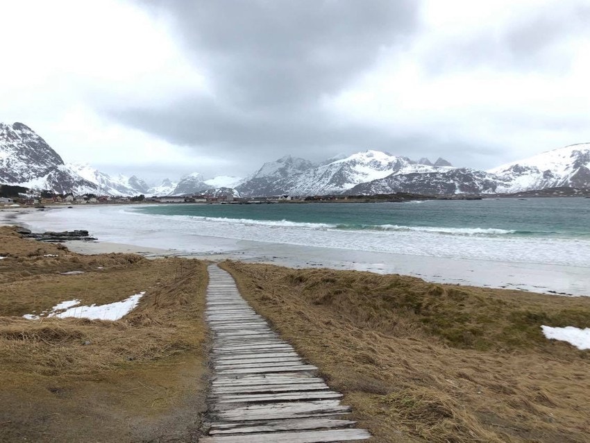 Vilt og vakkert, sommer som vinter Galleribilde