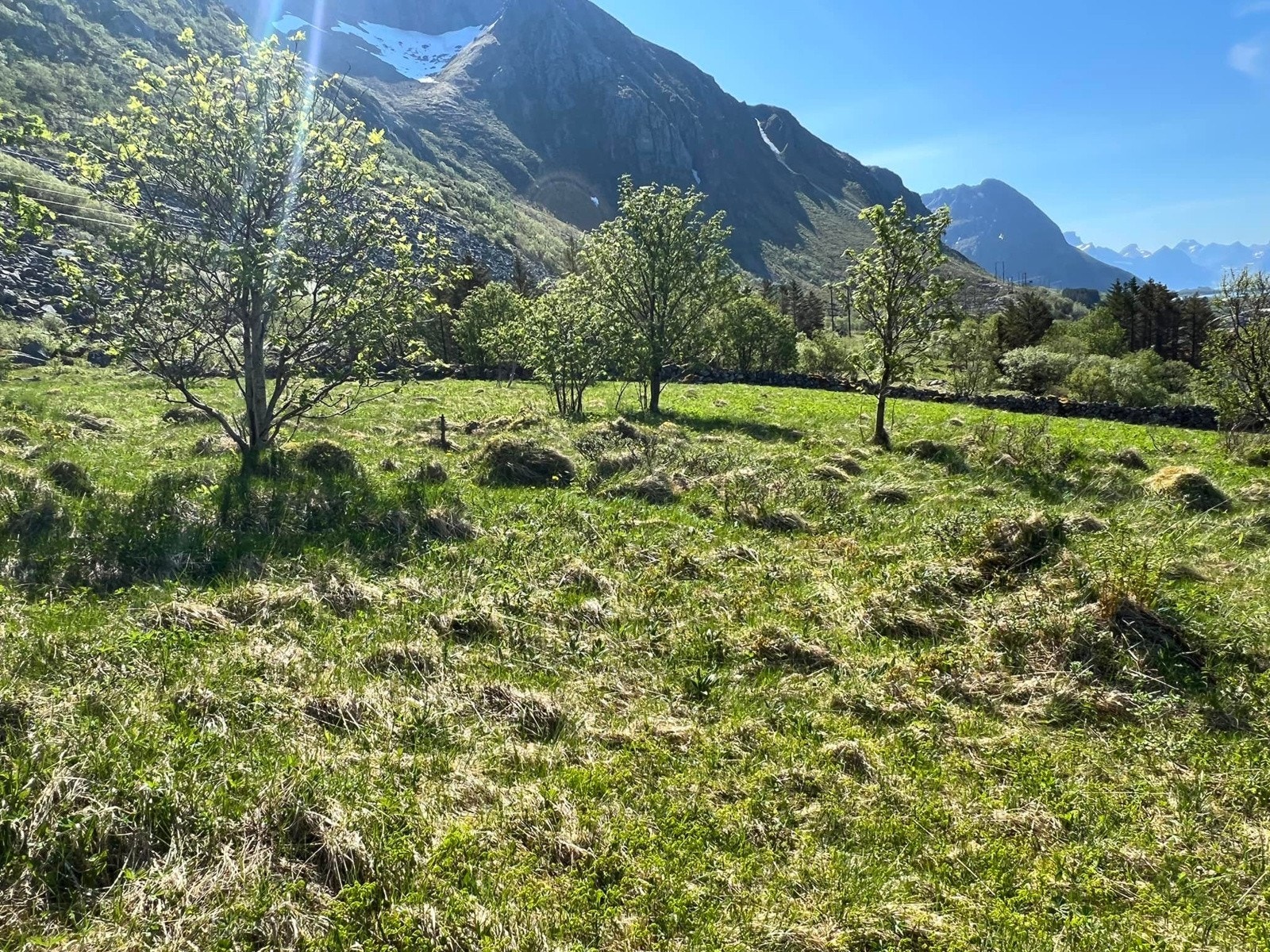 Fra parselen på oversiden av E10 Galleribilde