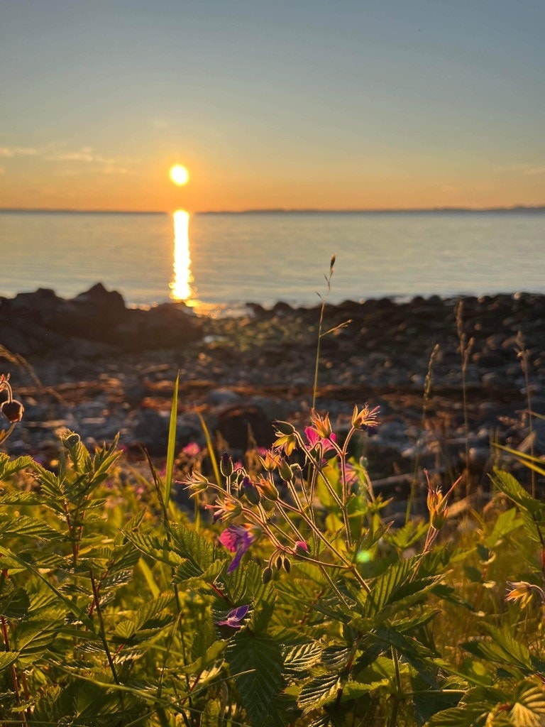 Solnedgang. Foto: grunneier Galleribilde