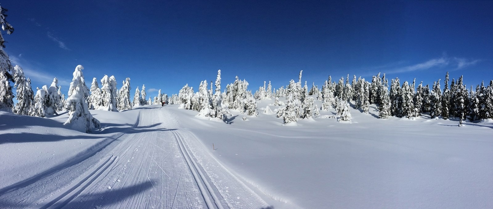 Snøsikkert område med velpreparerte langrennsløyper. Her finner du godt tilpassede løyper uansett vindforhold Galleribilde