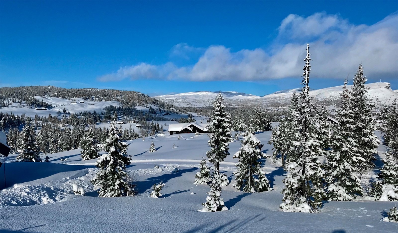 Løypenettet slynger seg elegant inn i hytteområdet og gir god adkomst til et velpreparert og vidstrakt løypenett med god plass Galleribilde