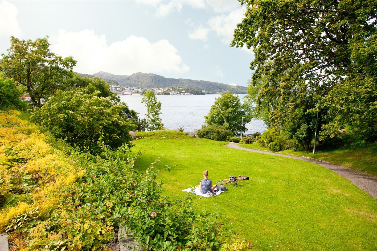Flott og opparbeidet parkområde i nærheten. Galleribilde