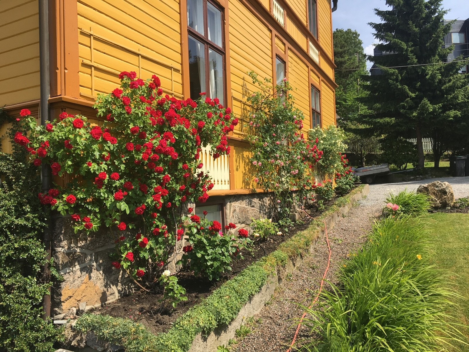 Selgers egne bilder Galleribilde