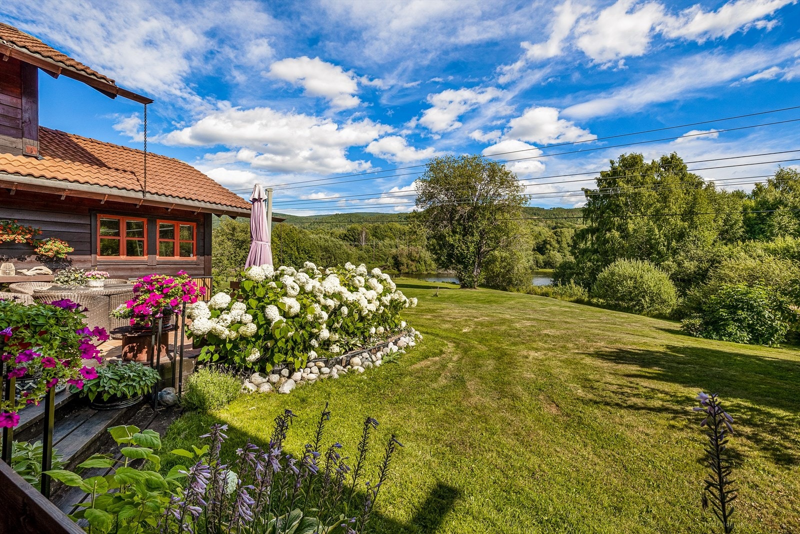 Bilde fra hagen Galleribilde