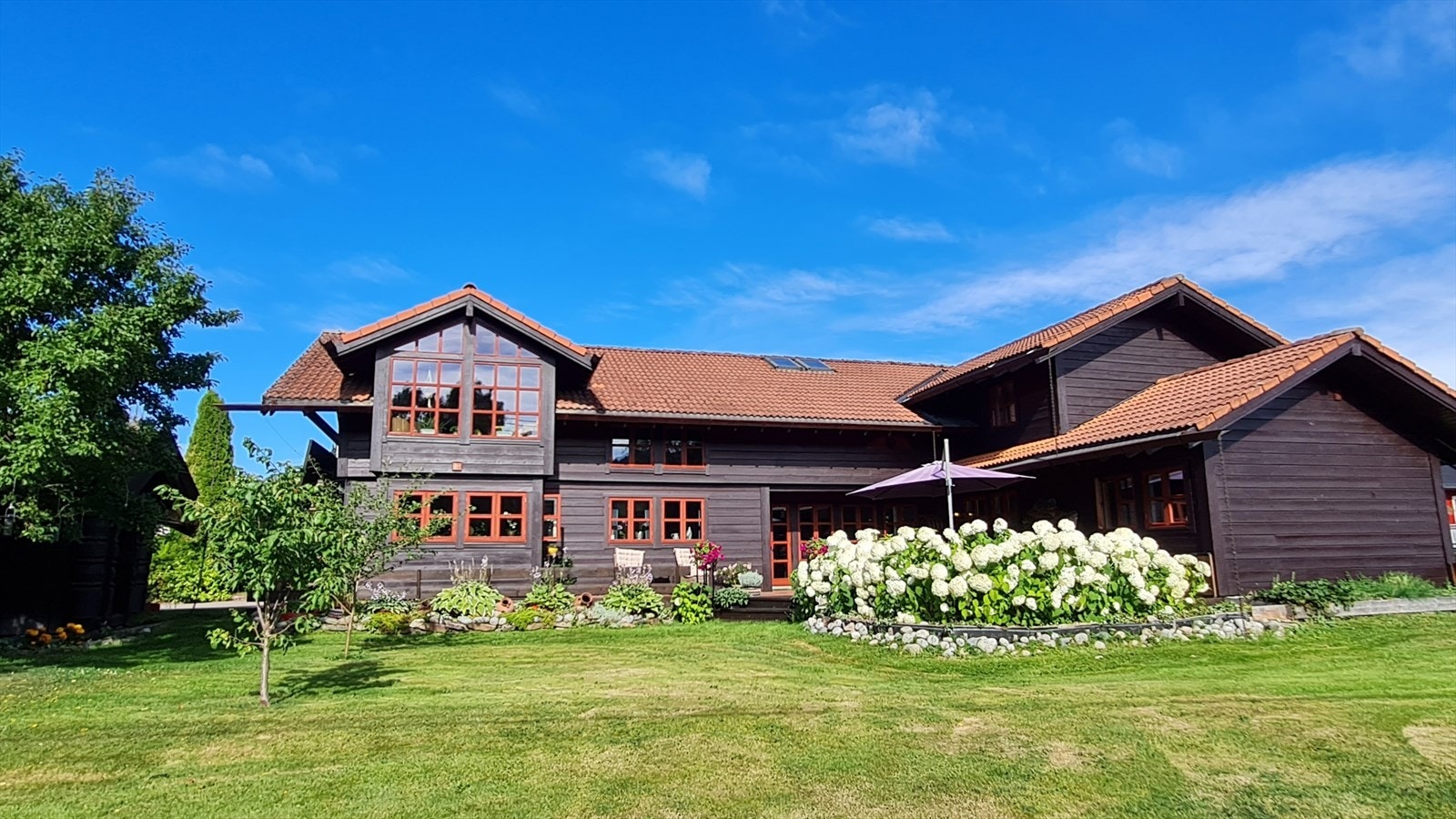 Selgers bilde Galleribilde