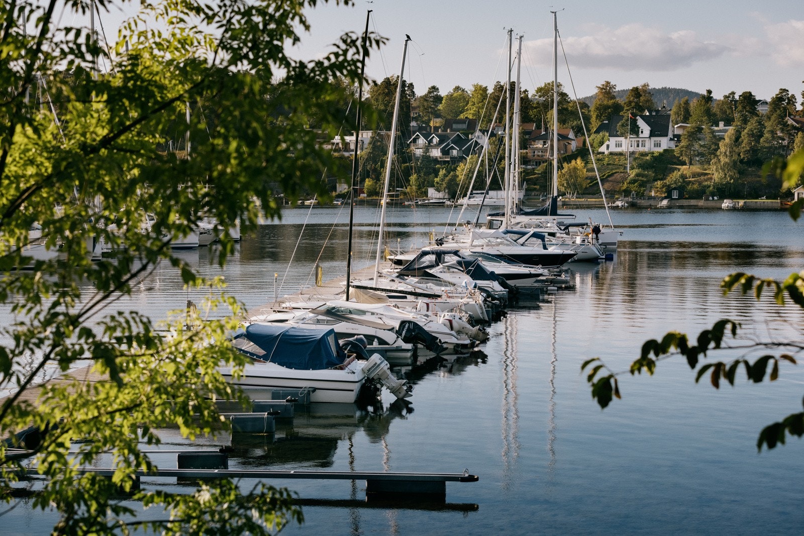Fornebu Marina i gangavstand fra leiligheten. Galleribilde