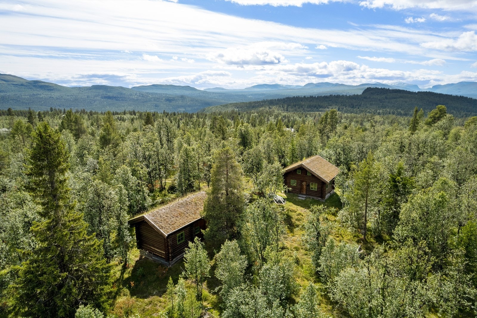 Velkommen til Dyrtjønnfeltet 60 og 62! To tømmerhytter beliggende i naturnære omgivelser i vakre Espedalen. Galleribilde