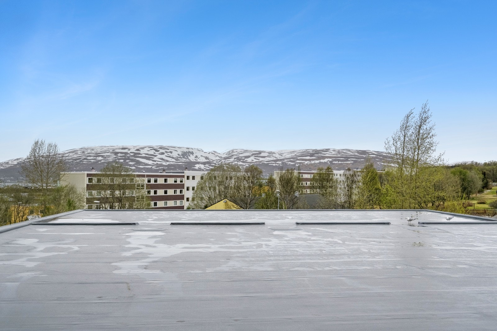 Flott utsikt fra stuen, mot nærområdet og mot Kvaløya Galleribilde