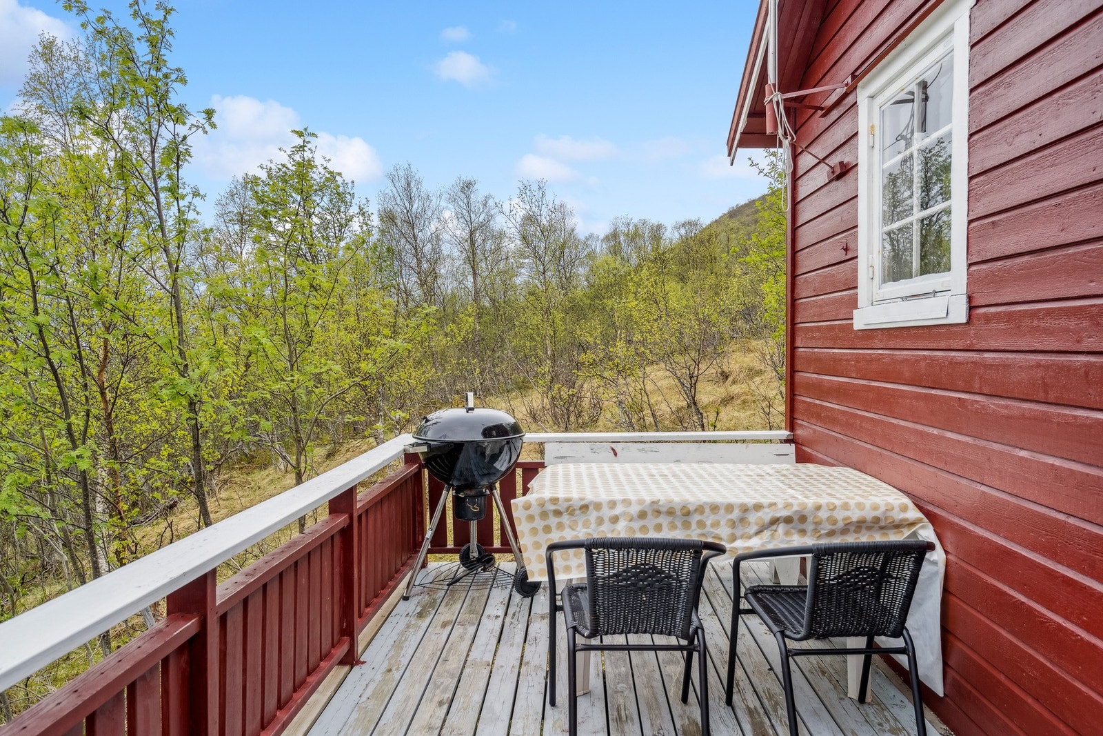 Flotte uteområder rundt hytta Galleribilde
