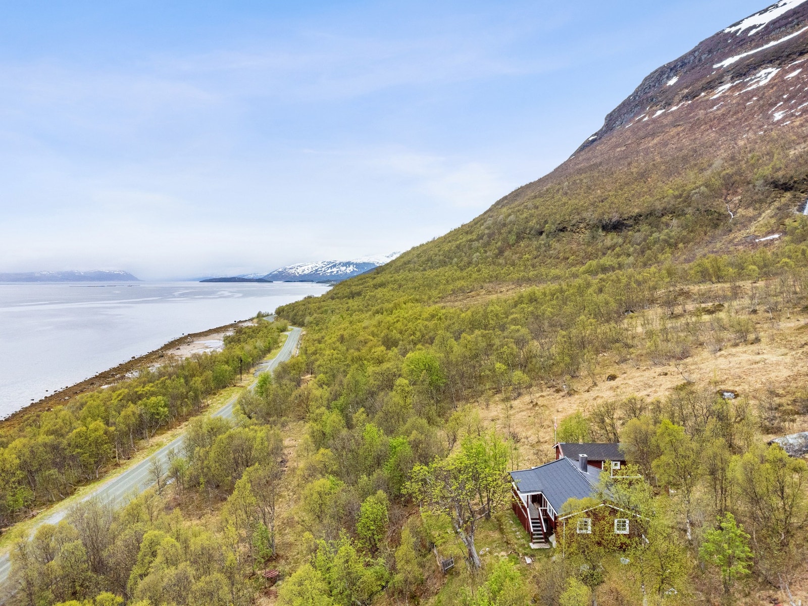 Med vill natur nært Galleribilde