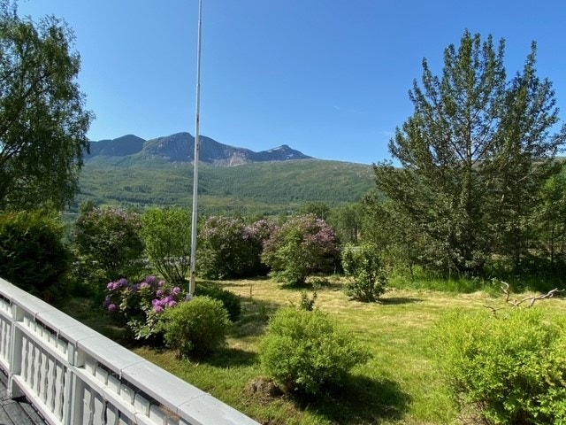 Privat foto Galleribilde