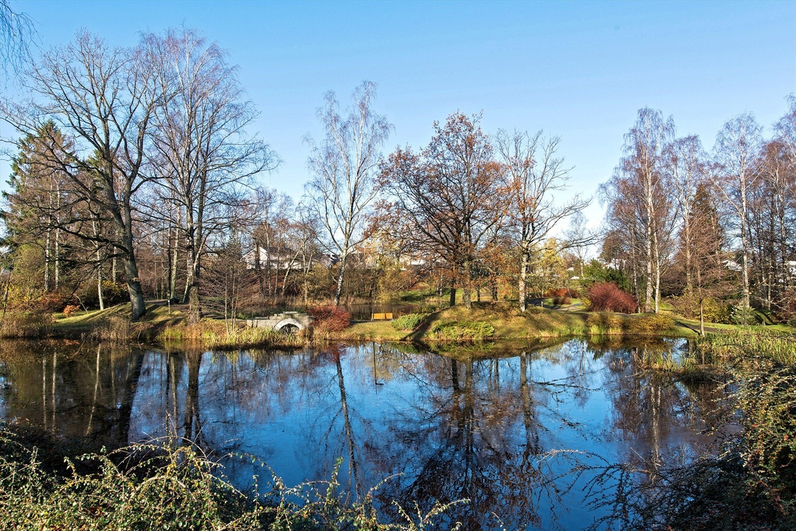 Rosahaugparken Galleribilde