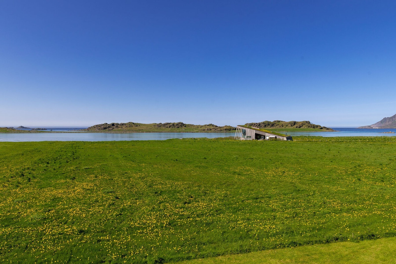 Utsikten Galleribilde