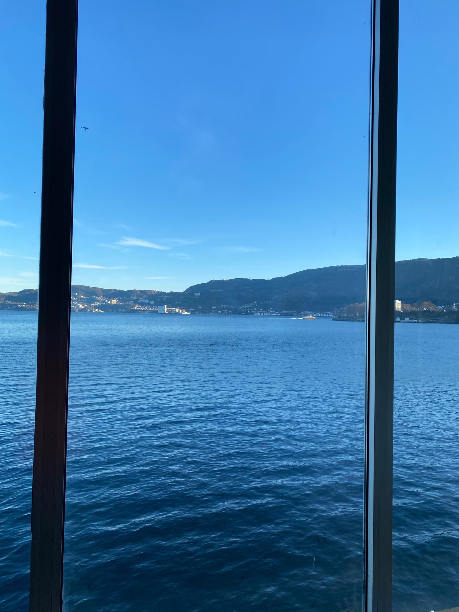 Utsikt over byfjorden Galleribilde