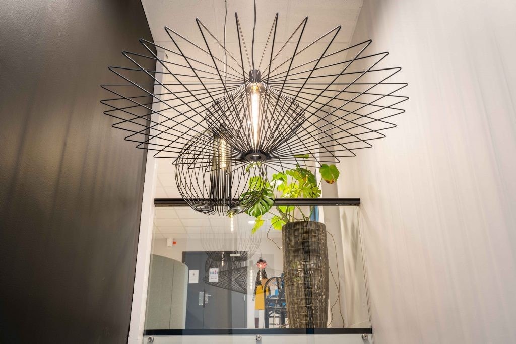 Fellesarealer Galleribilde