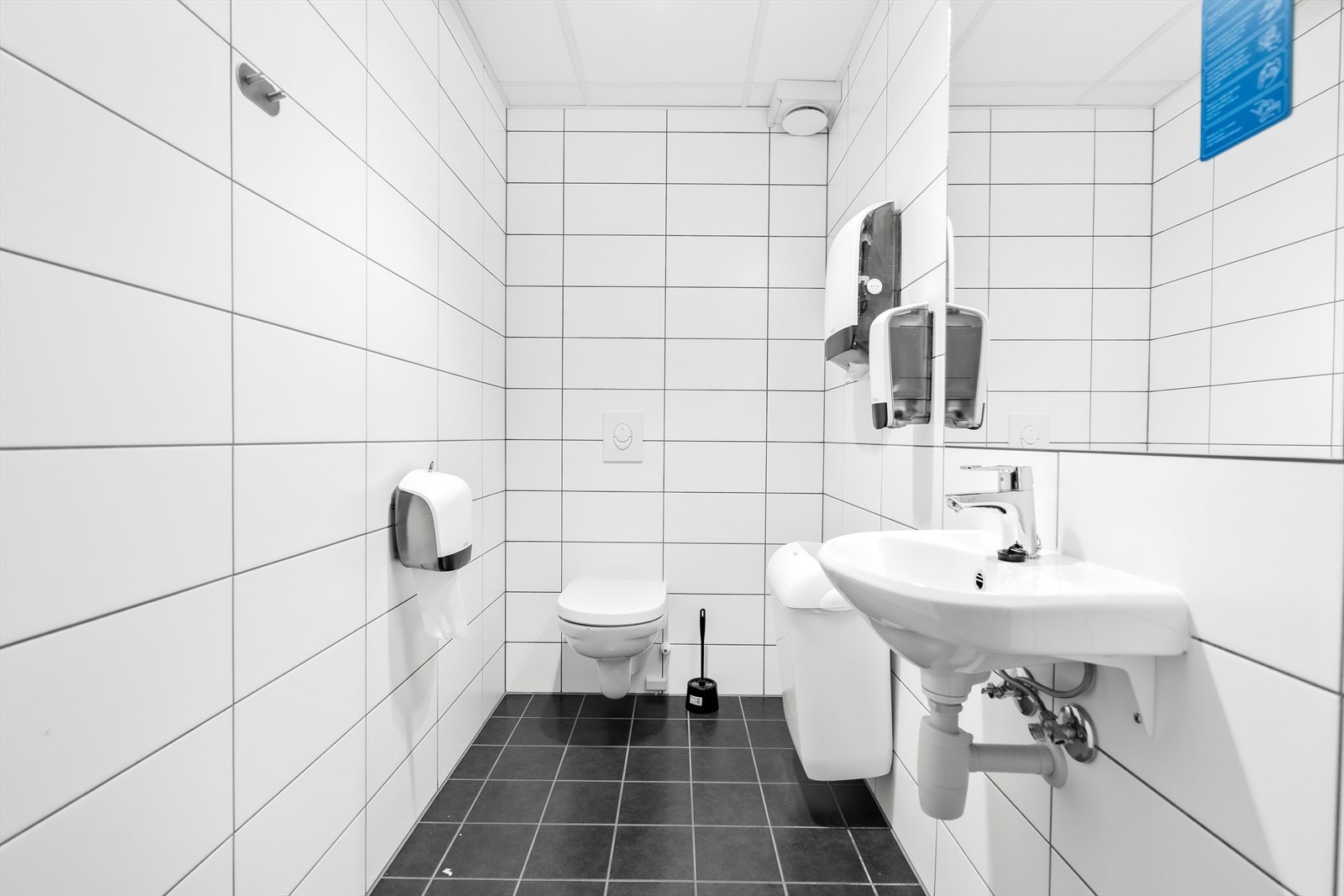 Sanitær Galleribilde