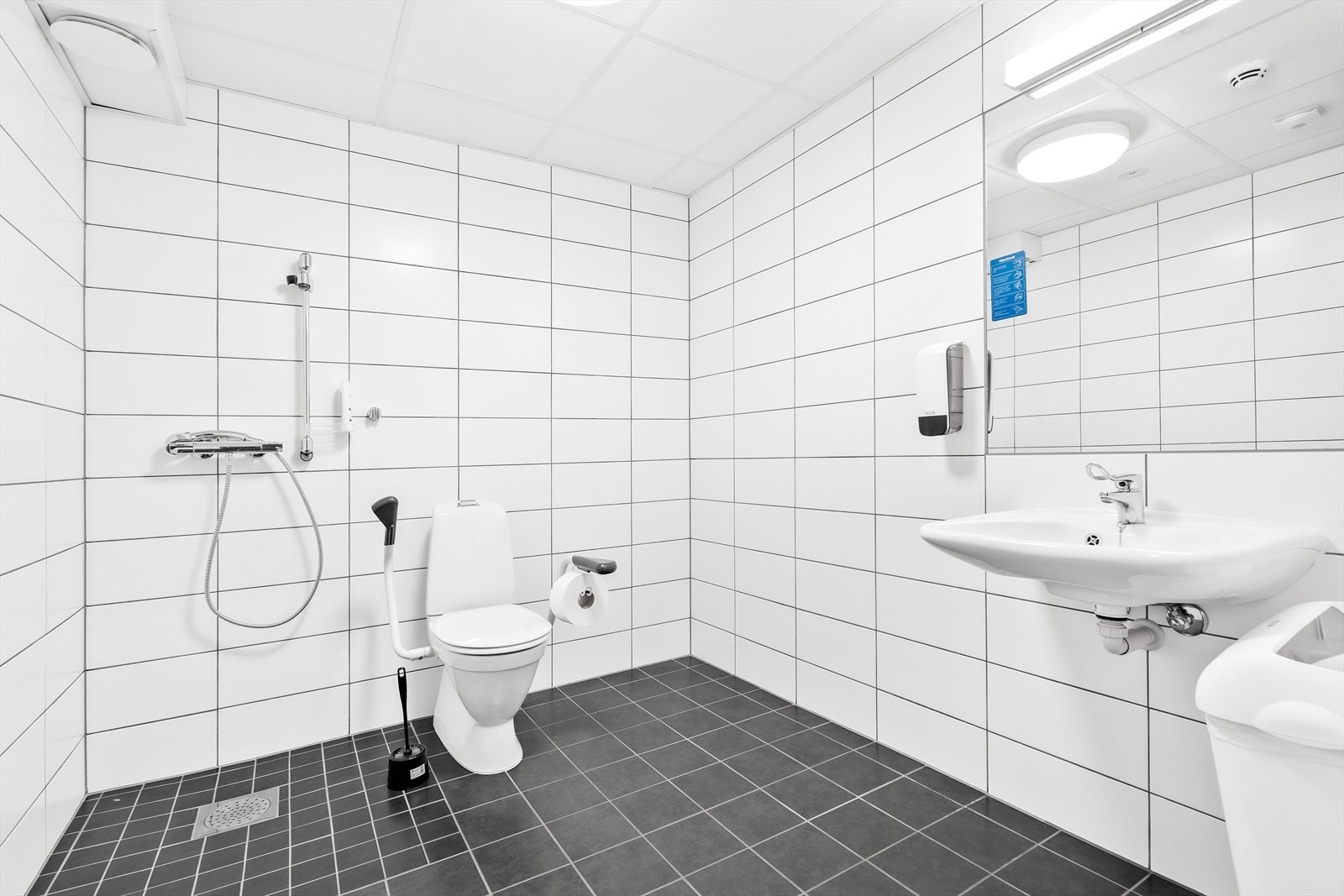 Sanitær Galleribilde