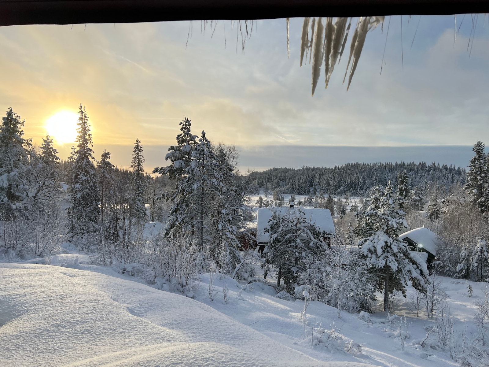Utsikt fra eiendommen Galleribilde