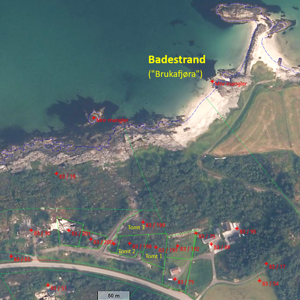 Satelittbilde av tomt og nærmeste område Galleribilde