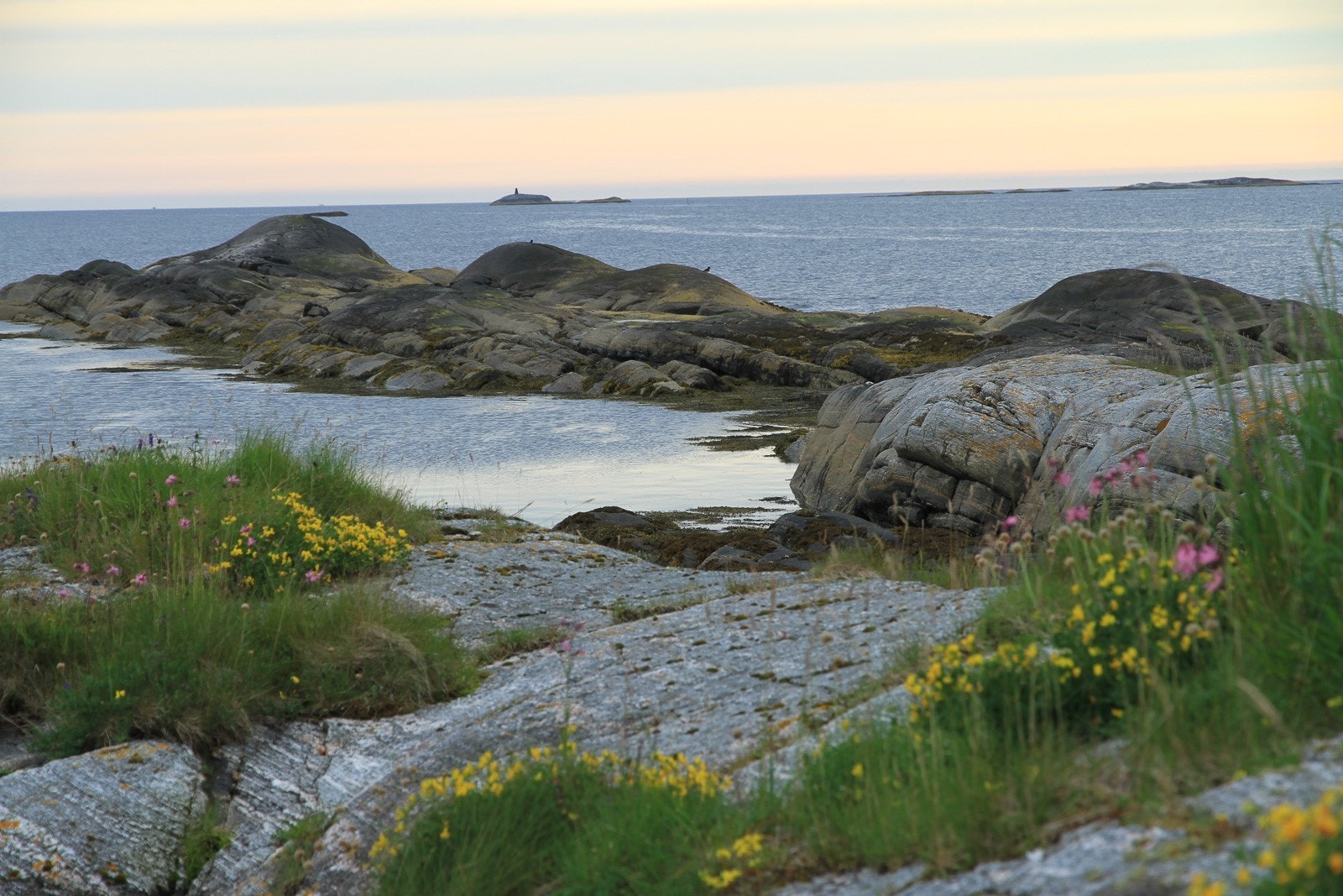 På holmene Galleribilde