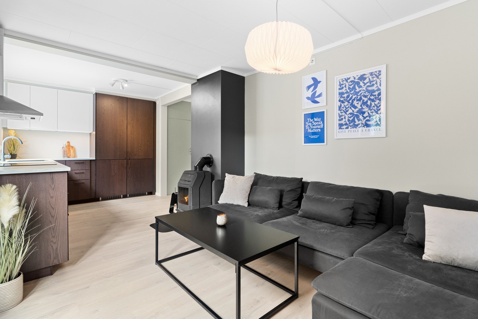 Stue / kjøkken Galleribilde