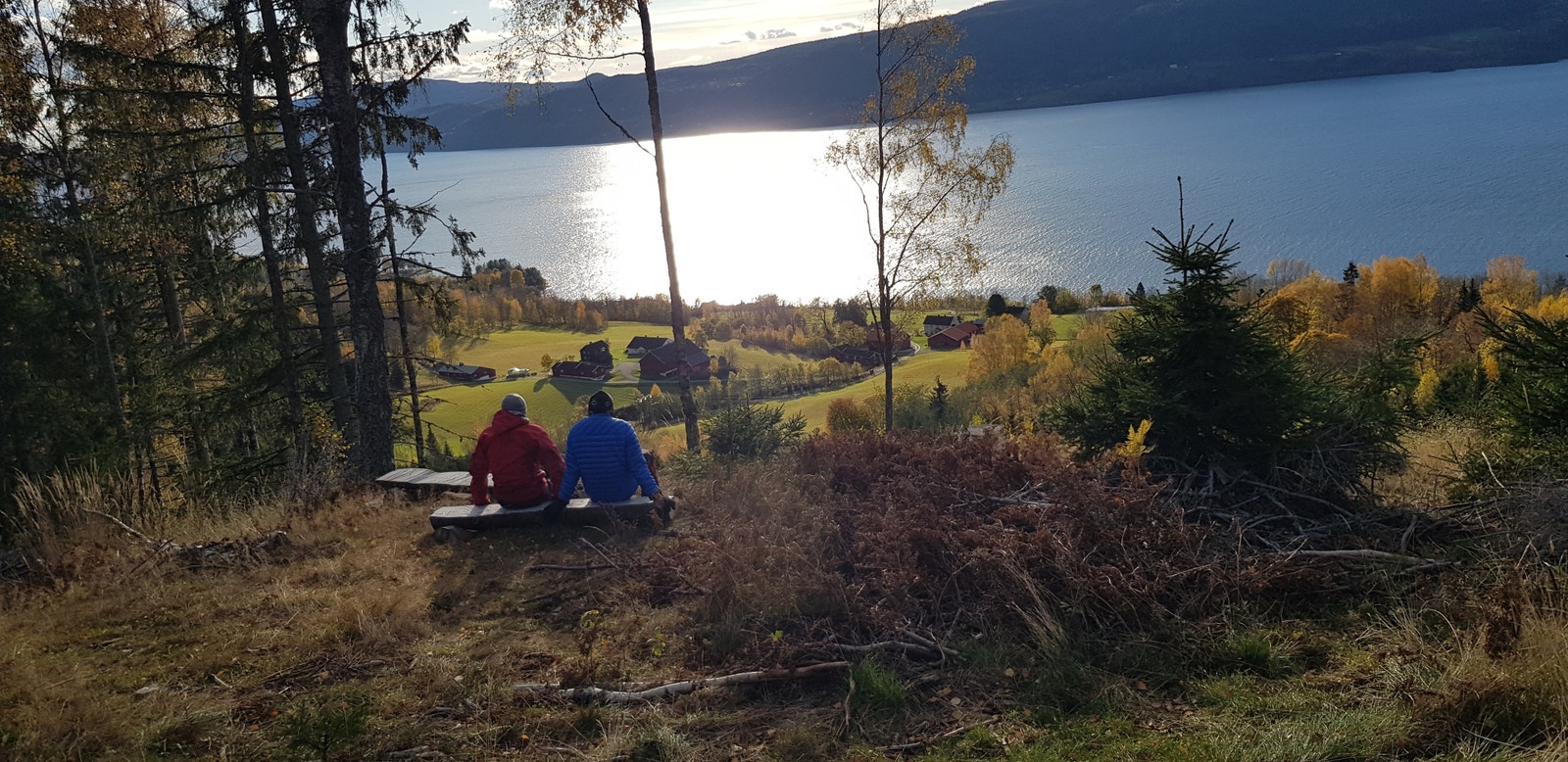 Nærområdet byr på flotte tur- og sykkelmuligheter. Utsikt punkt. Galleribilde