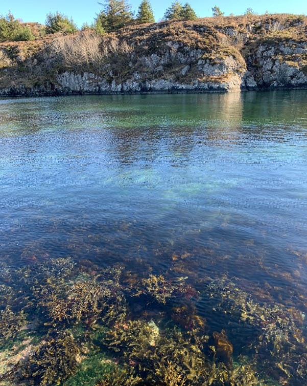 Fine bademuliheter. Galleribilde