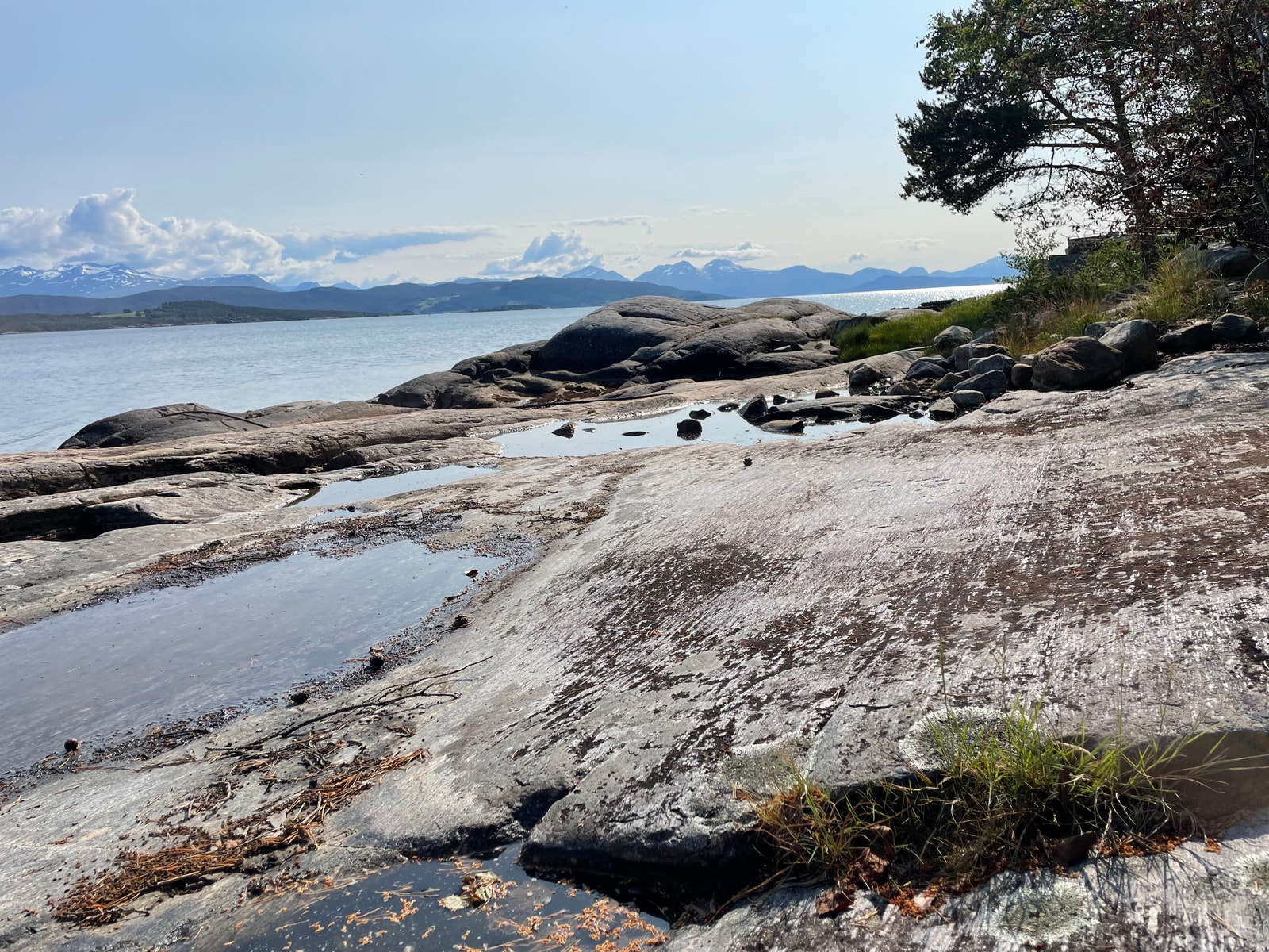 Bare å rulle ut teppet! Galleribilde