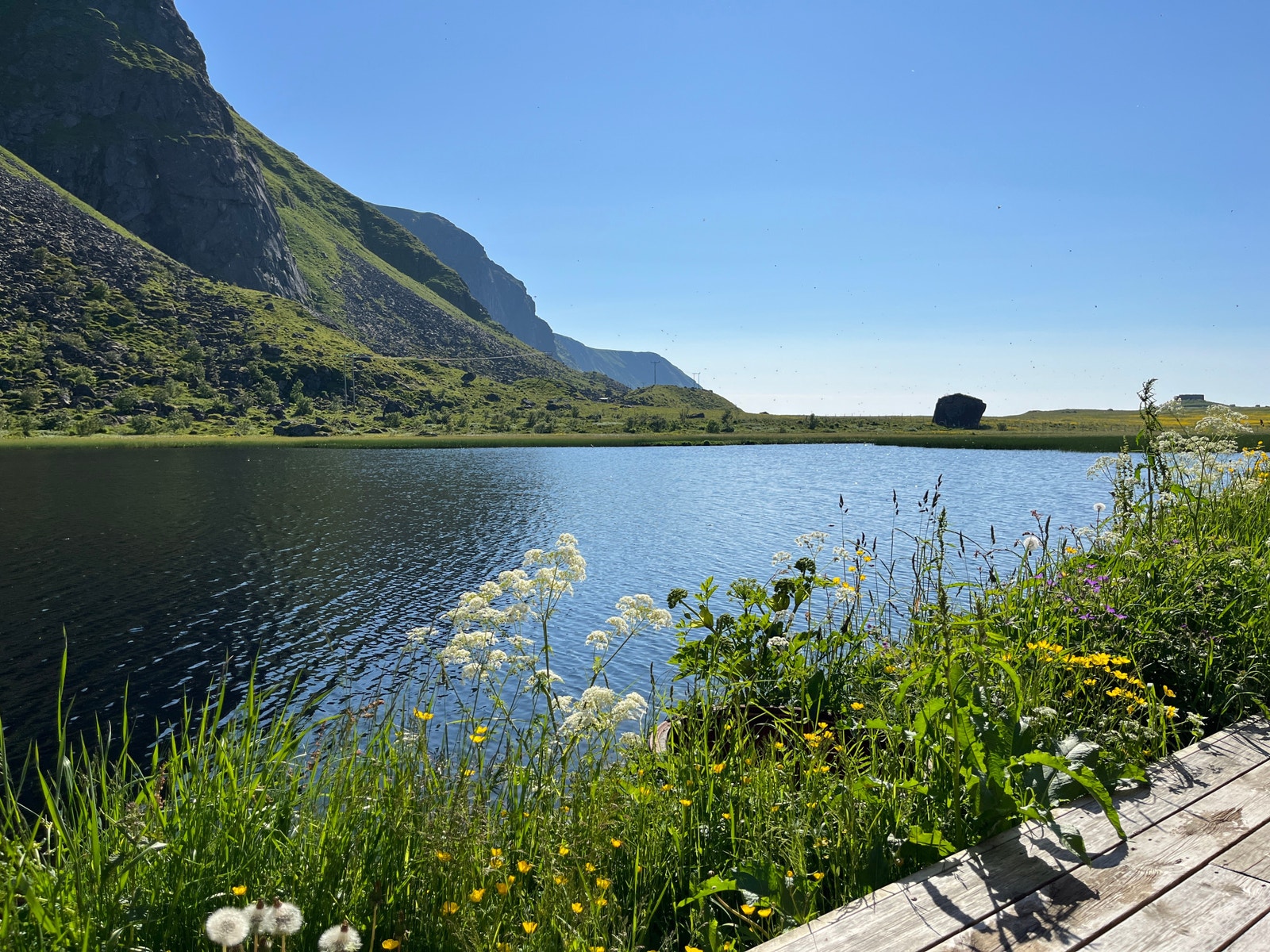 Ro. Å ligge her i sola med bare naturlyder gir ro, selv om det ikke er helt stille. Mange ulike fuglelåter, masse fisk som hopper i tjernet. Og dønningene fra storhavet som slår tilbake fra fjellveggen. Herlig! Galleribilde