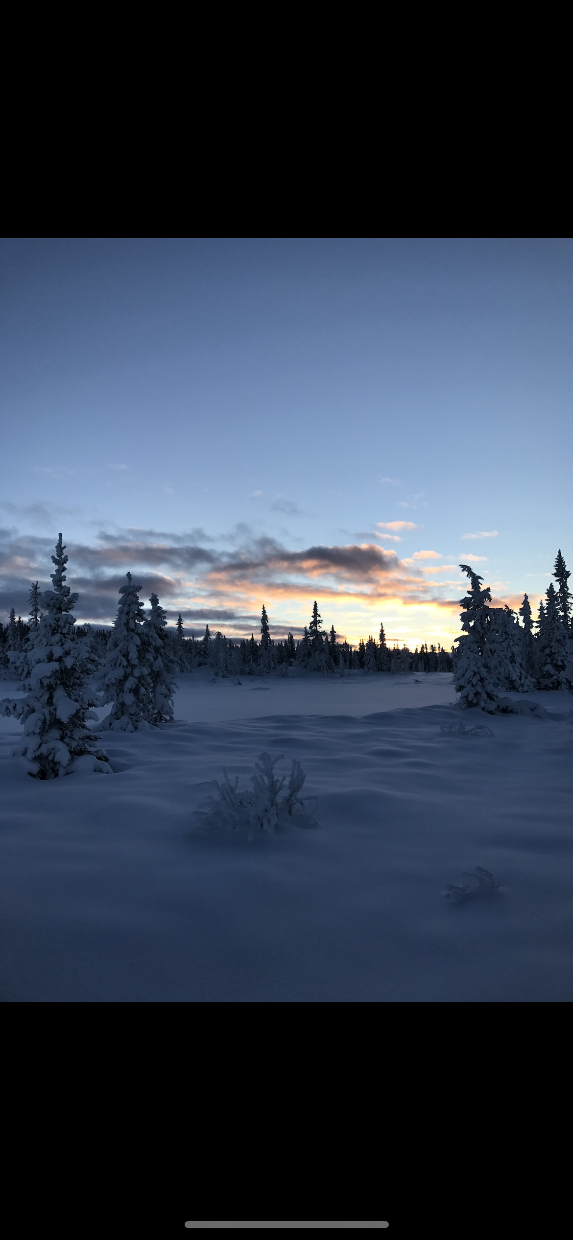 Vinter på veståsen Galleribilde